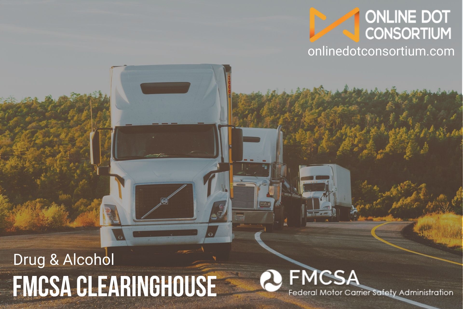 FMCSA Clearinghouse Services